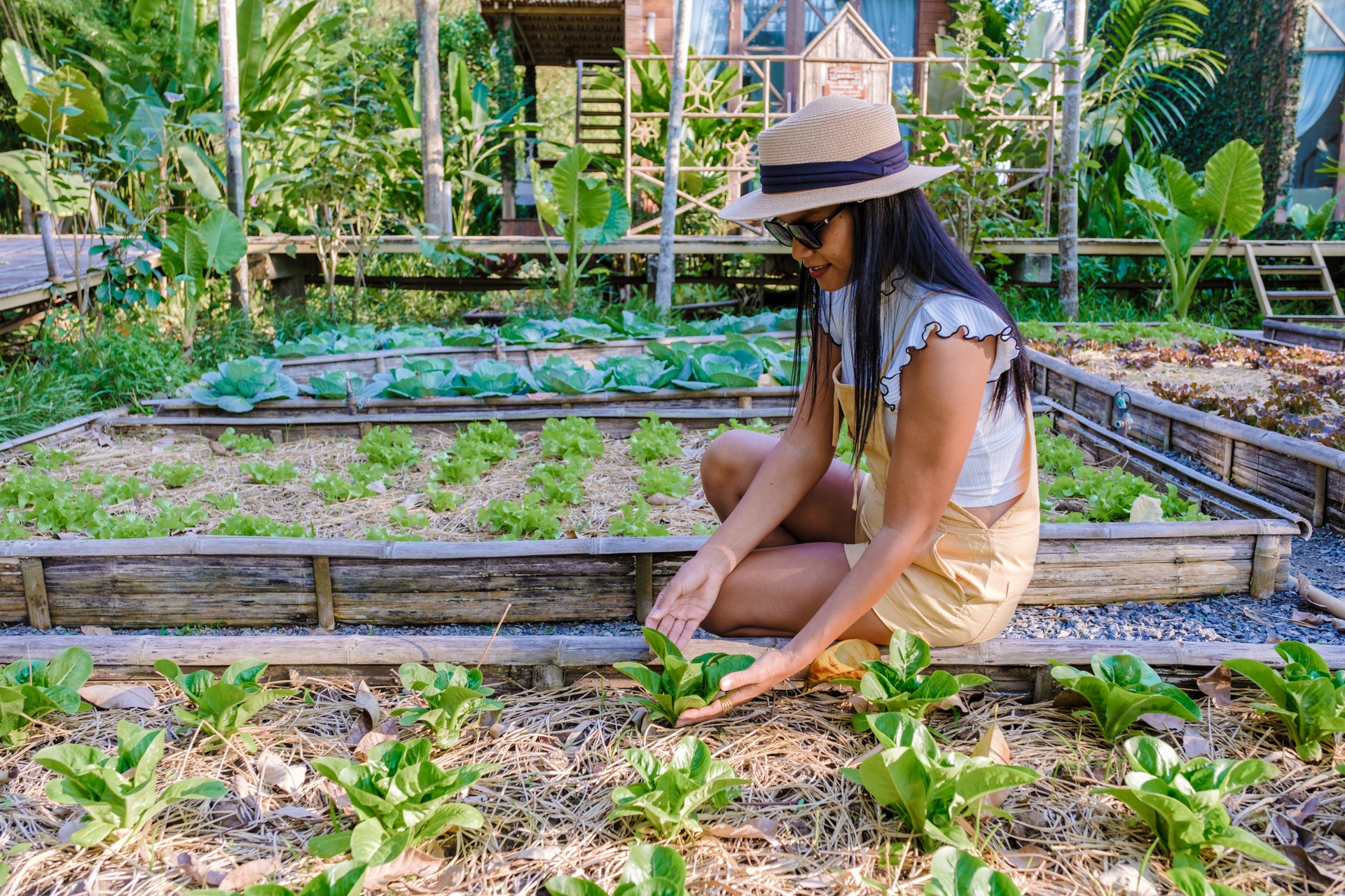 Asian women with saladin a Community kitchen garden. Raised garden beds with plants garden